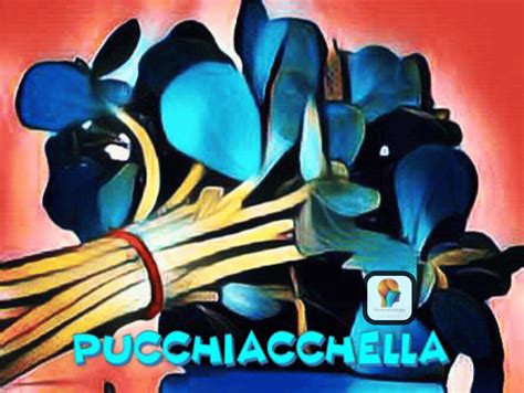 pucchiacc|purchiacca .